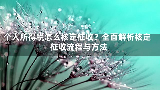 个人所得税怎么核定征收？全面解析核定征收流程与方法