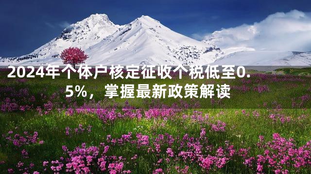2024年个体户核定征收个税低至0.5%，掌握最新政策解读