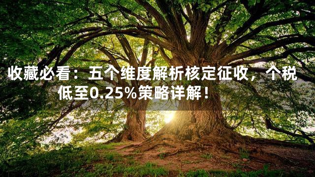 收藏必看：五个维度解析核定征收，个税低至0.25%策略详解！