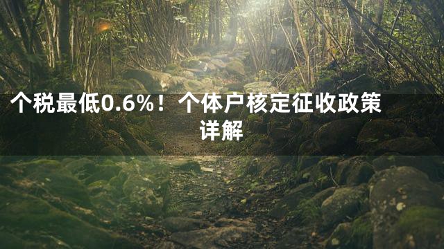个税最低0.6%！个体户核定征收政策详解