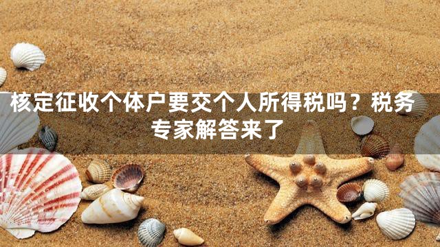 核定征收个体户要交个人所得税吗？税务专家解答来了