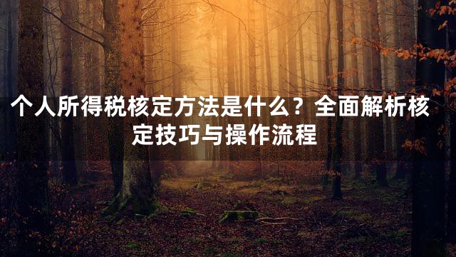个人所得税核定方法是什么？全面解析核定技巧与操作流程
