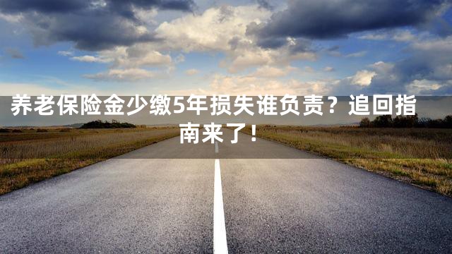 养老保险金少缴5年损失谁负责？追回指南来了！