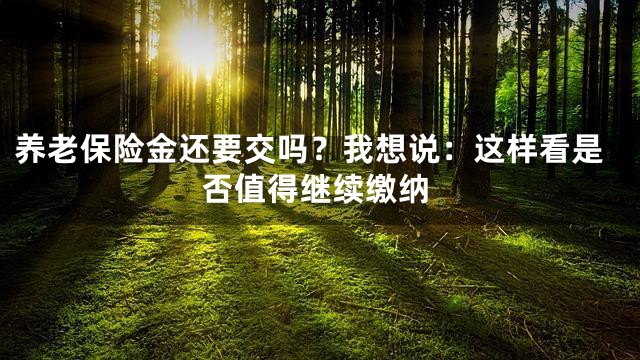 养老保险金还要交吗？我想说：这样看是否值得继续缴纳