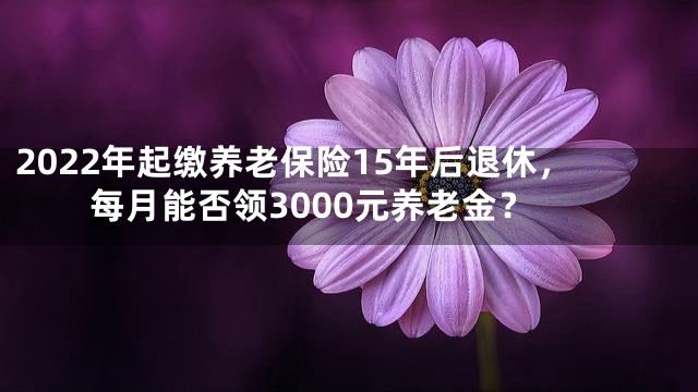 2022年起缴养老保险15年后退休，每月能否领3000元养老金？