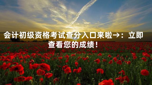 会计初级资格考试查分入口来啦→：立即查看您的成绩！