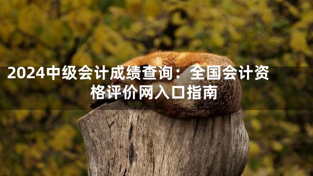2024中级会计成绩查询：全国会计资格评价网入口指南