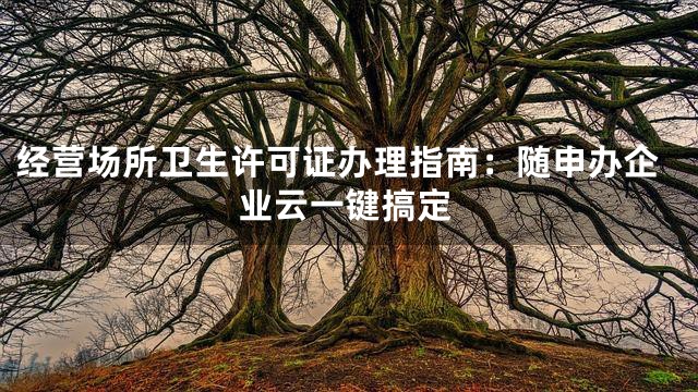 经营场所卫生许可证办理指南：随申办企业云一键搞定
