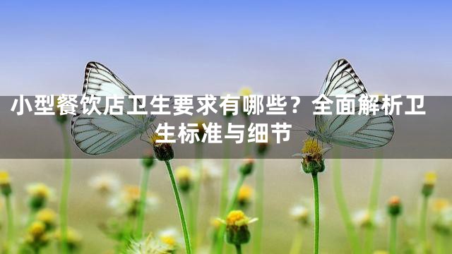 小型餐饮店卫生要求有哪些？全面解析卫生标准与细节