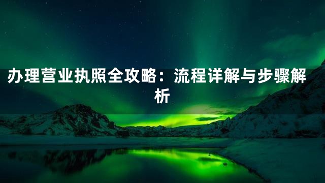 办理营业执照全攻略：流程详解与步骤解析