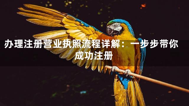 办理注册营业执照流程详解：一步步带你成功注册