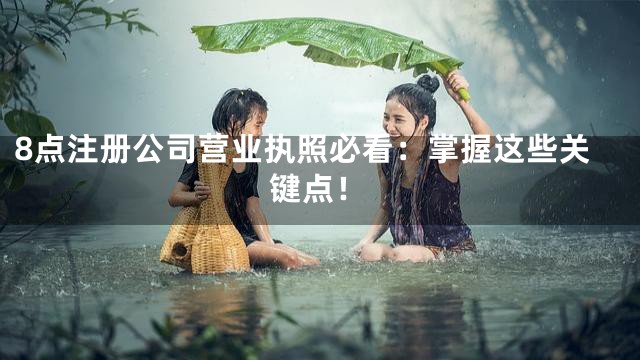 8点注册公司营业执照必看：掌握这些关键点！