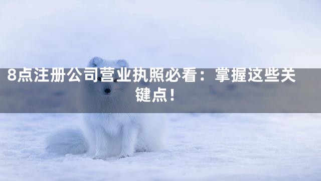 8点注册公司营业执照必看：掌握这些关键点！
