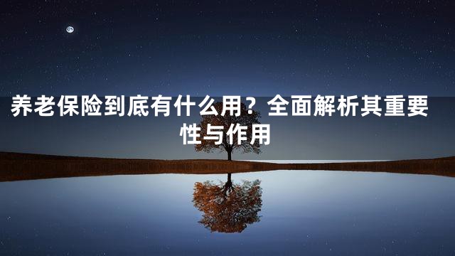 养老保险到底有什么用？全面解析其重要性与作用