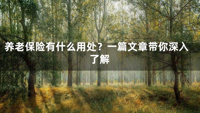 养老保险有什么用处？一篇文章带你深入了解