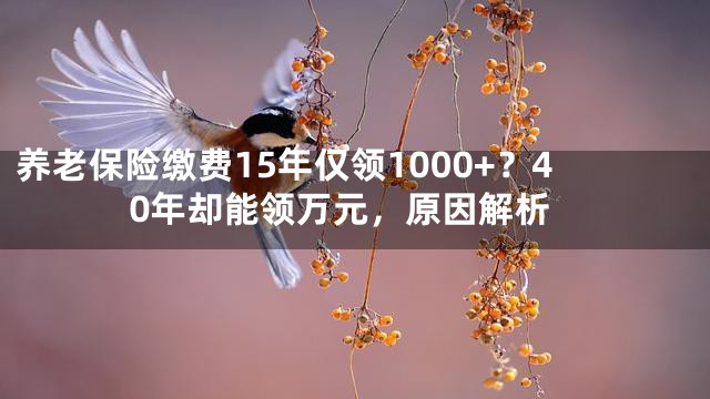 养老保险缴费15年仅领1000+？40年却能领万元，原因解析