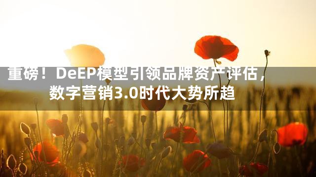 重磅！DeEP模型引领品牌资产评估，数字营销3.0时代大势所趋
