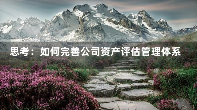 思考：如何完善公司资产评估管理体系