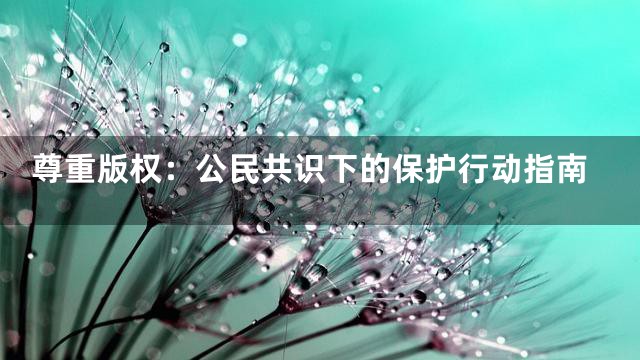 尊重版权：公民共识下的保护行动指南