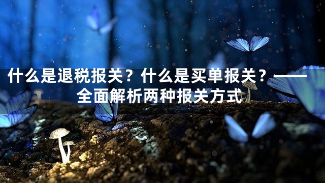 什么是退税报关？什么是买单报关？——全面解析两种报关方式