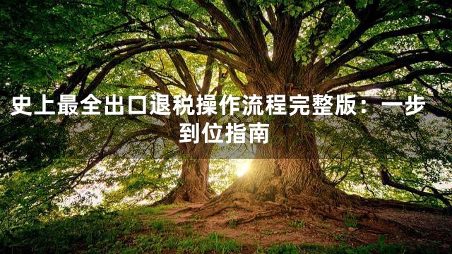 史上最全出口退税操作流程完整版：一步到位指南