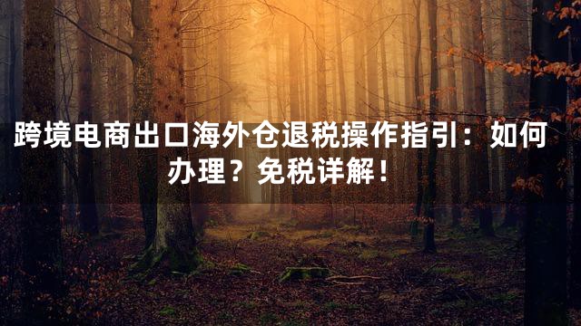 跨境电商出口海外仓退税操作指引：如何办理？免税详解！
