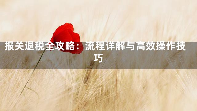 报关退税全攻略：流程详解与高效操作技巧