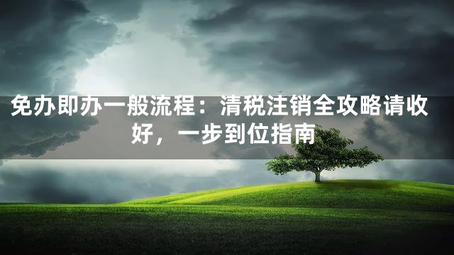免办即办一般流程：清税注销全攻略请收好，一步到位指南