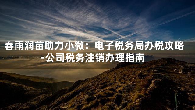 春雨润苗助力小微：电子税务局办税攻略-公司税务注销办理指南