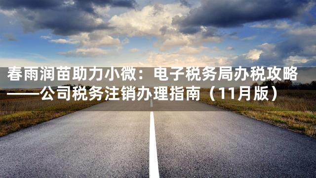 春雨润苗助力小微：电子税务局办税攻略——公司税务注销办理指南（11月版）
