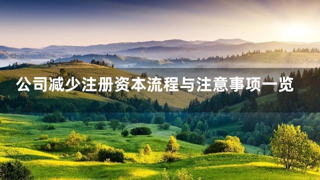 公司减少注册资本流程与注意事项一览