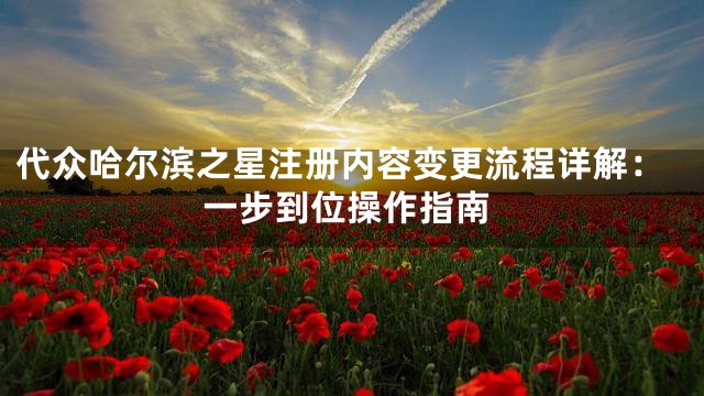 代众哈尔滨之星注册内容变更流程详解：一步到位操作指南