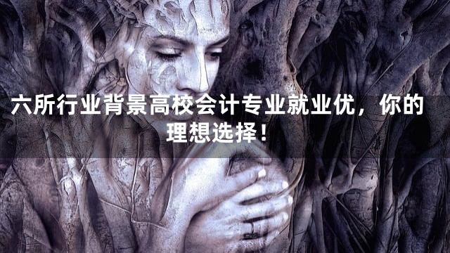 六所行业背景高校会计专业就业优，你的理想选择！