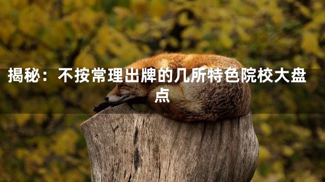 揭秘：不按常理出牌的几所特色院校大盘点
