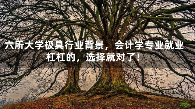 六所大学极具行业背景，会计学专业就业杠杠的，选择就对了！