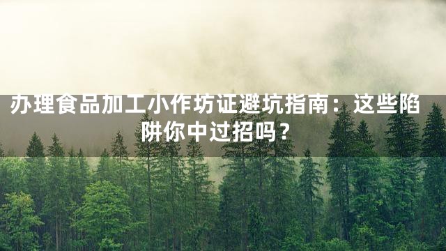 办理食品加工小作坊证避坑指南：这些陷阱你中过招吗？