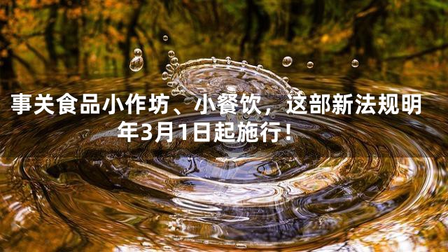 事关食品小作坊、小餐饮，这部新法规明年3月1日起施行！