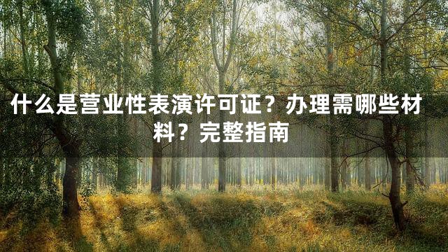 什么是营业性表演许可证？办理需哪些材料？完整指南