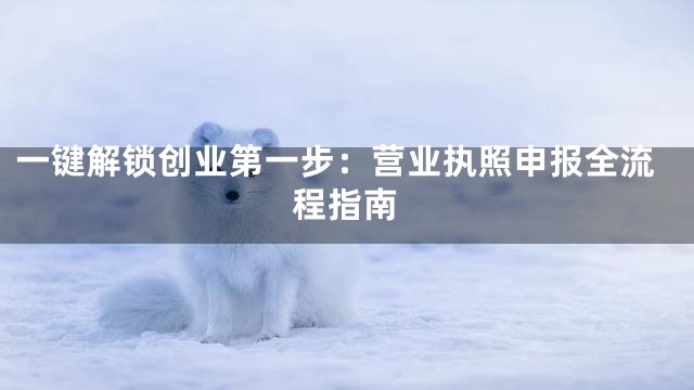 一键解锁创业第一步：营业执照申报全流程指南