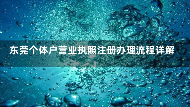 东莞个体户营业执照注册办理流程详解