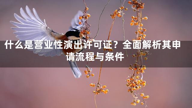 什么是营业性演出许可证？全面解析其申请流程与条件