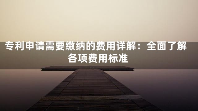 专利申请需要缴纳的费用详解：全面了解各项费用标准