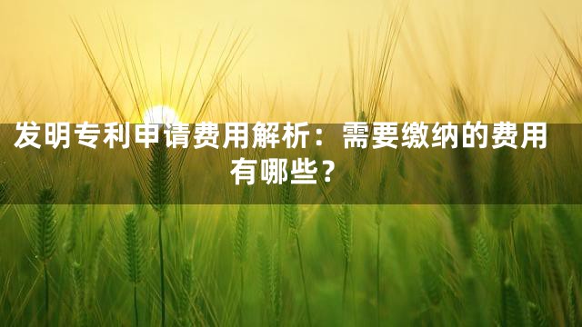 发明专利申请费用解析：需要缴纳的费用有哪些？