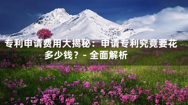 专利申请费用大揭秘：申请专利究竟要花多少钱？- 全面解析