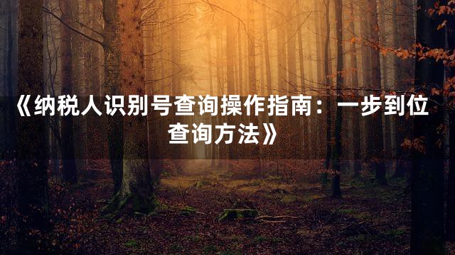 《纳税人识别号查询操作指南：一步到位查询方法》