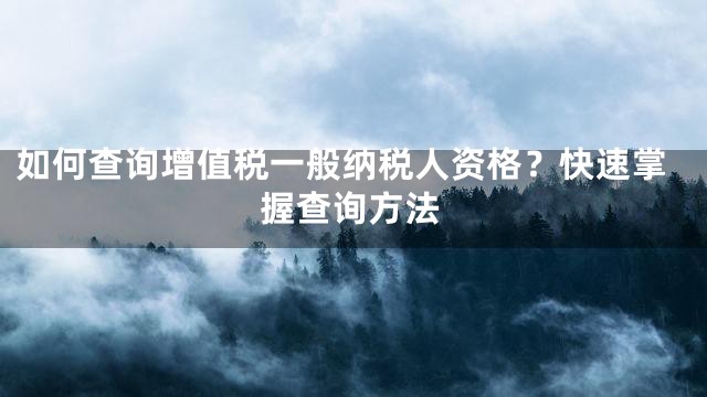 如何查询增值税一般纳税人资格？快速掌握查询方法