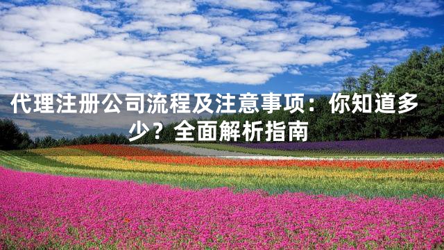 代理注册公司流程及注意事项：你知道多少？全面解析指南