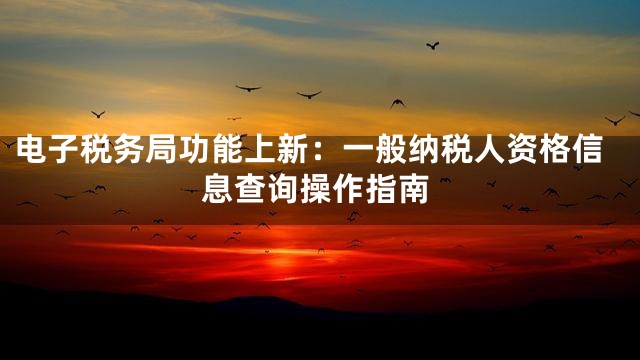 电子税务局功能上新：一般纳税人资格信息查询操作指南
