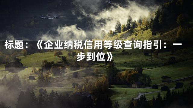 标题：《企业纳税信用等级查询指引：一步到位》
