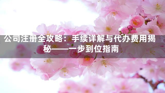 公司注册全攻略：手续详解与代办费用揭秘——一步到位指南